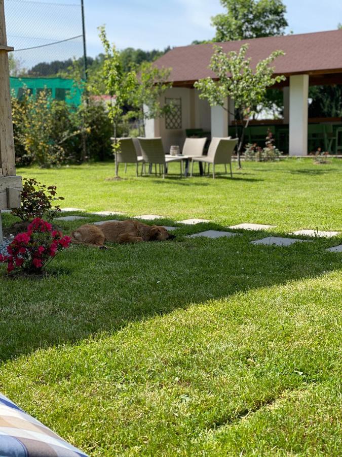 Anahouse Ξενοδοχείο Vişeu de Sus Εξωτερικό φωτογραφία