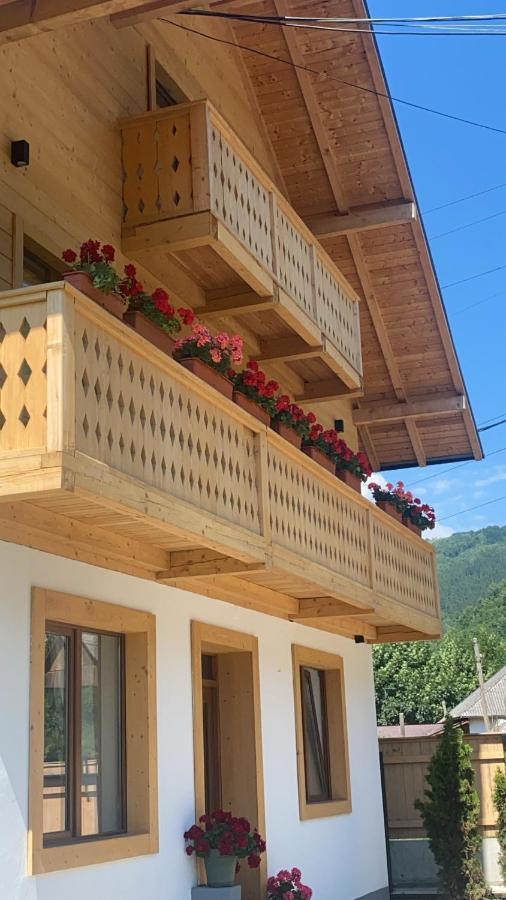 Anahouse Ξενοδοχείο Vişeu de Sus Εξωτερικό φωτογραφία