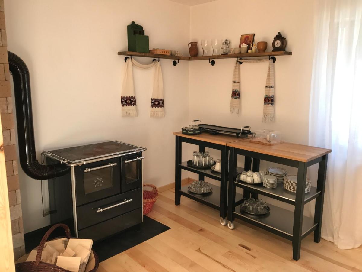 Anahouse Ξενοδοχείο Vişeu de Sus Εξωτερικό φωτογραφία