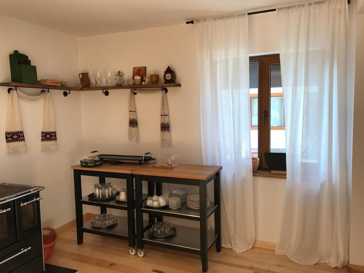 Anahouse Ξενοδοχείο Vişeu de Sus Εξωτερικό φωτογραφία